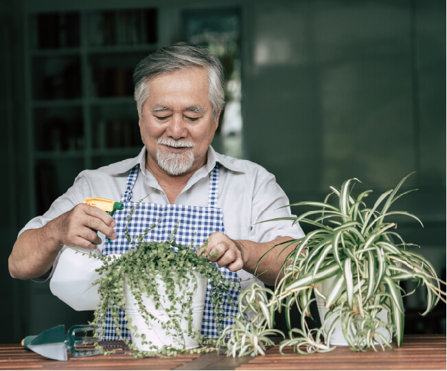 Local Business Owners